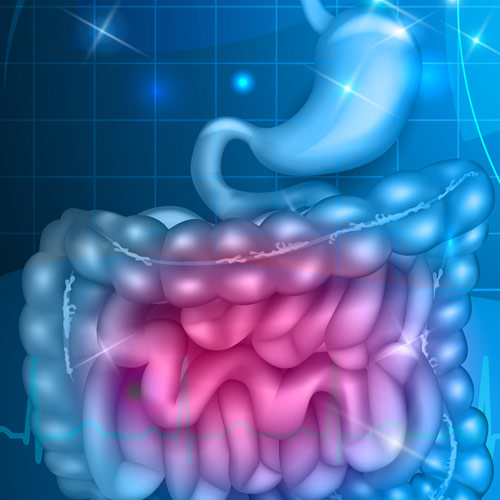 Digestive Disorders